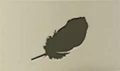 鳥の羽のシルエット