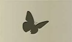 ちょうちょうのシルエット