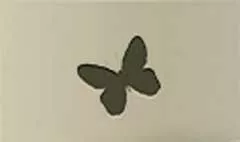 ちょうちょうのシルエット