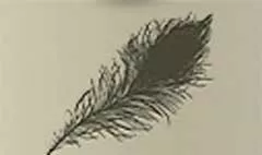 鳥の羽のシルエット
