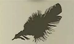 鳥の羽のシルエット