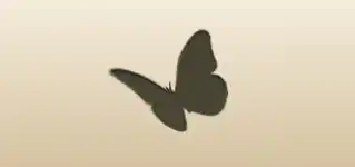 Butterfly silhouette