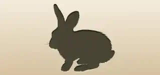 Rabbit silhouette