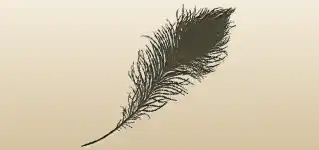 Feather silhouette