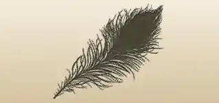 Feather silhouette