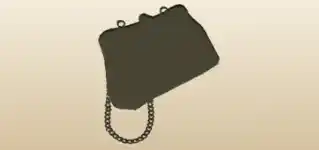 Handbag silhouette
