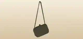 Handbag silhouette