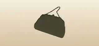Handbag silhouette