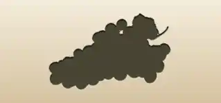 Grapes silhouette