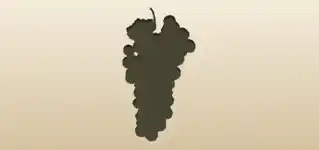 Grapes silhouette
