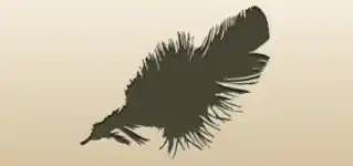 Feather silhouette