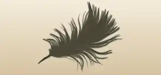 Feather silhouette