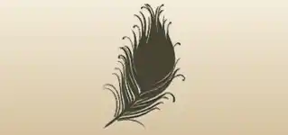 Feather silhouette