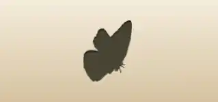 Butterfly silhouette