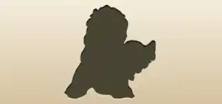 Angel silhouette