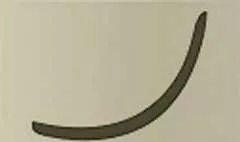 Tusk silhouette