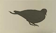 Pigeon silhouette #1