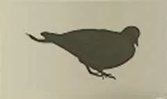 Pigeon silhouette