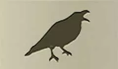 カラス