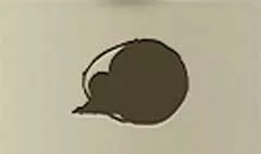 カボチャのバスケット