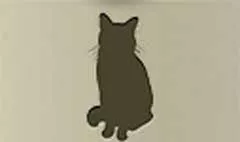 ネコ