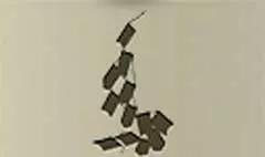 三角旗