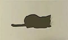 ネコ