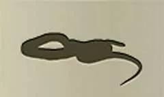 ヘビ