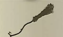 ほうき
