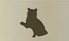 ネコ