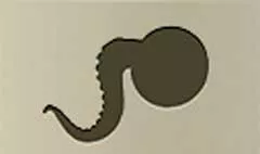 タコの足