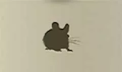 ネズミ