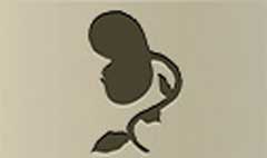 Venus Flytrap silhouette