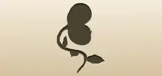 ハエトリソウのシルエット
