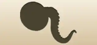タコの足のシルエット