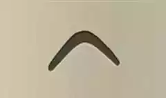 ブーメラン