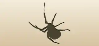 クモのシルエット
