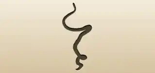 Snake silhouette