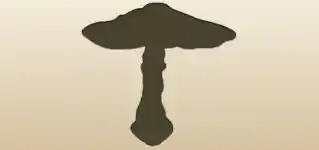 テングタケのシルエット