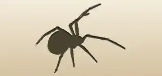 クモのシルエット