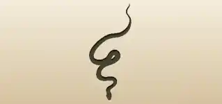 Snake silhouette