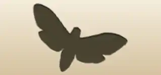 蛾のシルエット