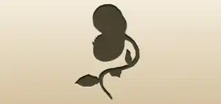ハエトリソウのシルエット
