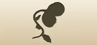 ハエトリソウのシルエット