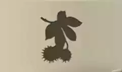 栗のシルエット