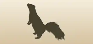 Skunk silhouette