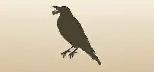 Magpie silhouette