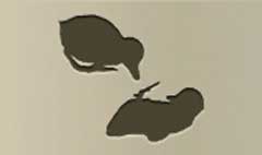 Ducklings silhouette #1