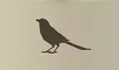 カササギのシルエット