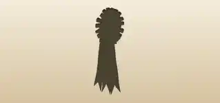Award Ribbon silhouette